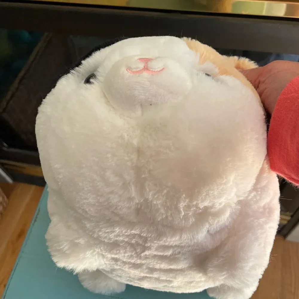 Aurora cute soft